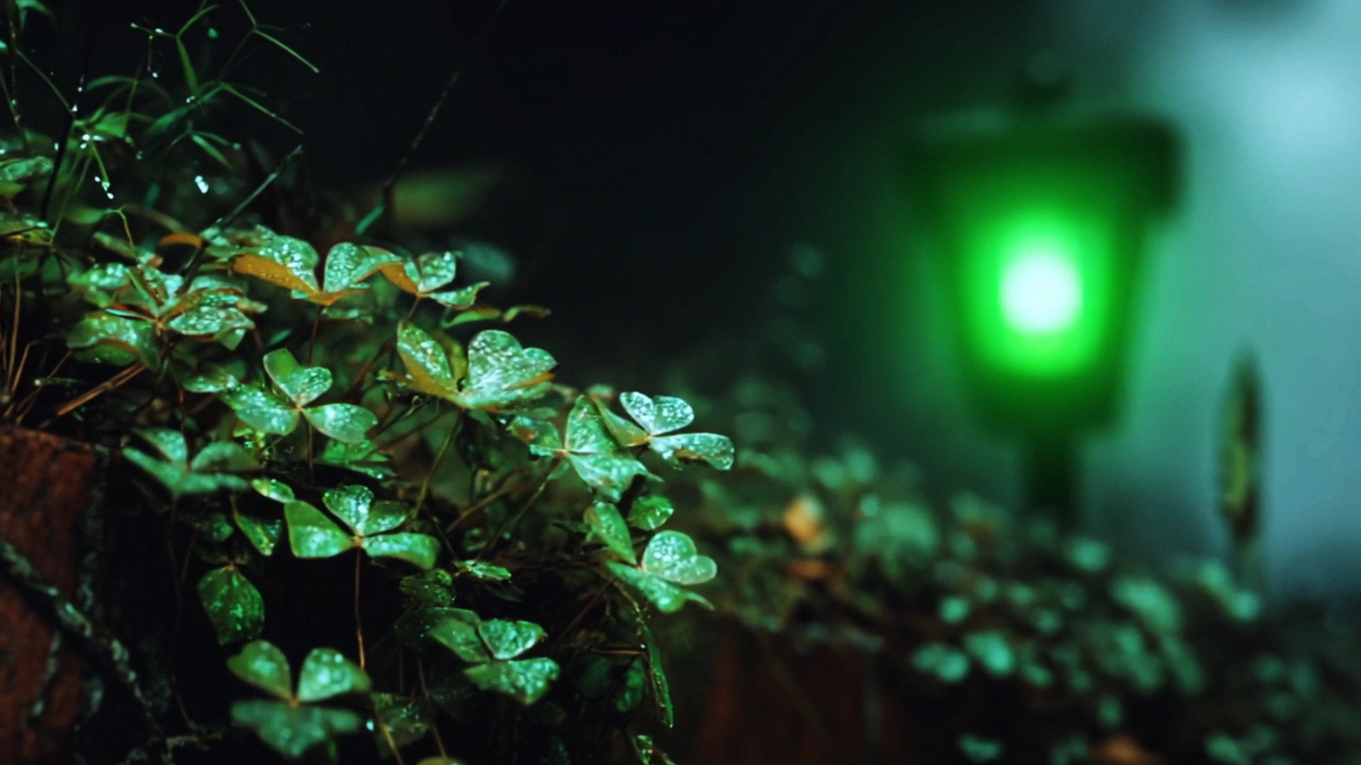 25_26OPEN_JUMBOTRON (0;00;23;35)